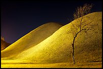 Tree and illuminated barrows at night. Gyeongju, South Korea