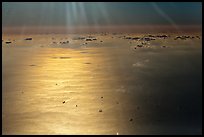 Aerial view of sea in early morning, Busan. South Korea ( color)