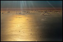 Aerial view of sea in early morning, Busan. South Korea ( color)