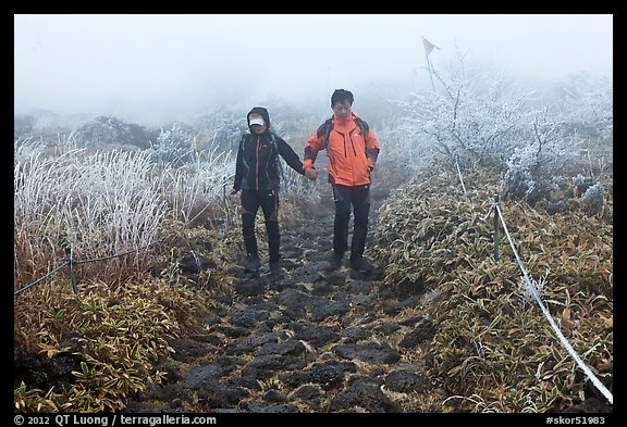 Couple hiking holding hands in fog. Jeju Island, South Korea (color)