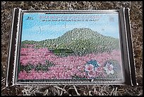 Frosted sign depicting spring landscape, Hallasan. Jeju Island, South Korea