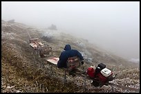 Man riding monorail on mountain, Mount Halla. Jeju Island, South Korea ( color)