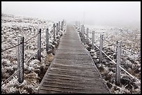 Boardwalk trail in frozen landscape, Hallasan. Jeju Island, South Korea (color)