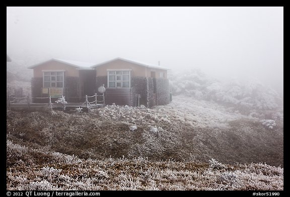 Witseoreum shelter in fog, Mount Halla. Jeju Island, South Korea (color)