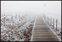 Frozen path and fog, Yeongsil trail, Hallasan. Jeju Island, South Korea