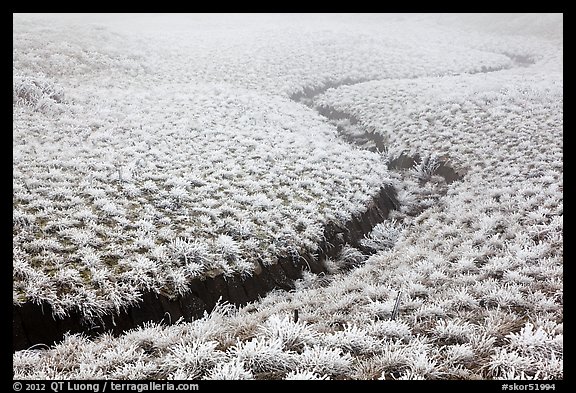 Frozen meadow and streambed,  Mount Halla. Jeju Island, South Korea