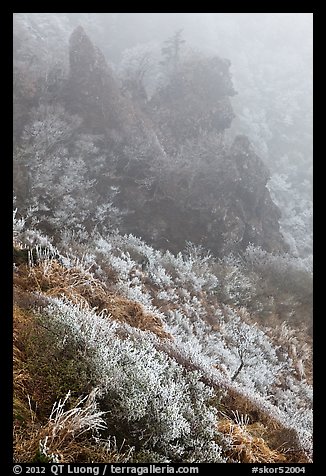 Frozen grasses and pinnacles in fog, Hallasan. Jeju Island, South Korea (color)