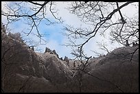 Pinnacles and bare branches, Mt Halla. Jeju Island, South Korea ( color)