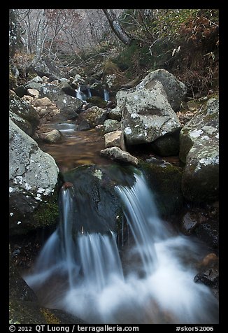 Cascading stream, Hallasan National Park. Jeju Island, South Korea (color)