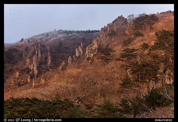 Forest and pinnacles, Hallasan National Park. Jeju Island, South Korea (color)