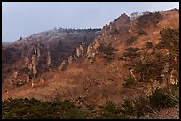 Forest and pinnacles, Hallasan National Park. Jeju Island, South Korea (color)