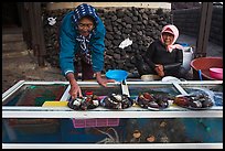 Haeneyo women selling seafood. Jeju Island, South Korea (color)