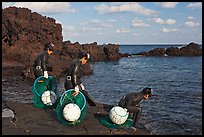 Old Haeneyo women preparing for dive. Jeju Island, South Korea ( color)