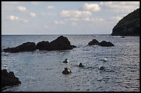 Haeneyo women swimming in cove. Jeju Island, South Korea (color)