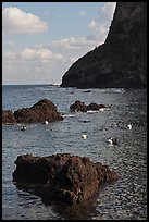 Cove with Haeneyo woman diving. Jeju Island, South Korea ( color)