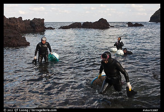 Women divers emerging from water. Jeju Island, South Korea