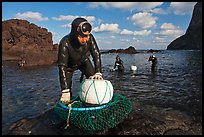 Haeneyo women with fresh catch, Seongsang Ilchulbong. Jeju Island, South Korea ( color)