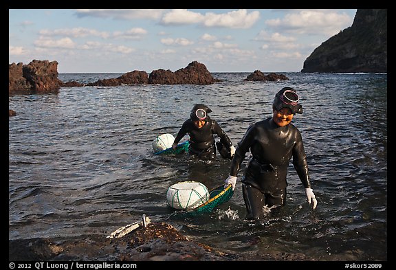 Haeneyo women walking out of water. Jeju Island, South Korea