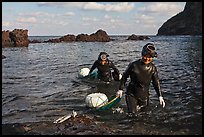 Haeneyo women walking out of water. Jeju Island, South Korea ( color)