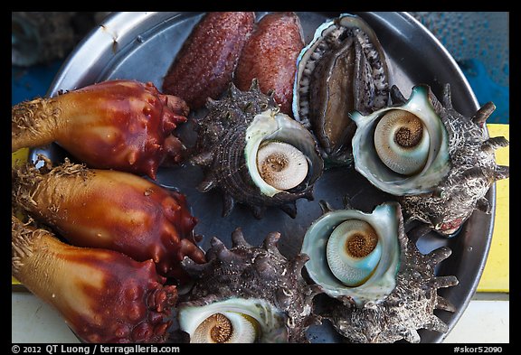 Fresh seafood, Seongsang Ilchulbong. Jeju Island, South Korea (color)