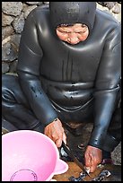 Haeneyo woman cutting seafood. Jeju Island, South Korea ( color)