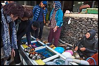 Seafood for sale by Haeneyo women. Jeju Island, South Korea ( color)