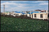 Houses with blue roofs, Seongsang Ilchulbong. Jeju Island, South Korea ( color)