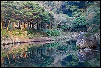 Reflections near Cheongjiyeon Pokpo, Seogwipo. Jeju Island, South Korea (color)