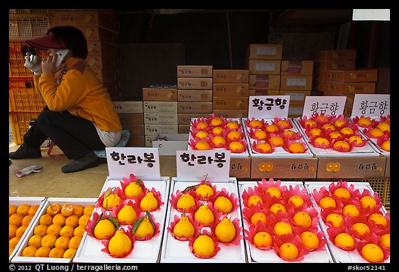 Tangerine fruit stand, Jeju. Jeju Island, South Korea (color)