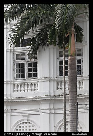 Palm and facade detail, city hall. George Town, Penang, Malaysia