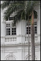 Palm and facade detail, city hall. George Town, Penang, Malaysia