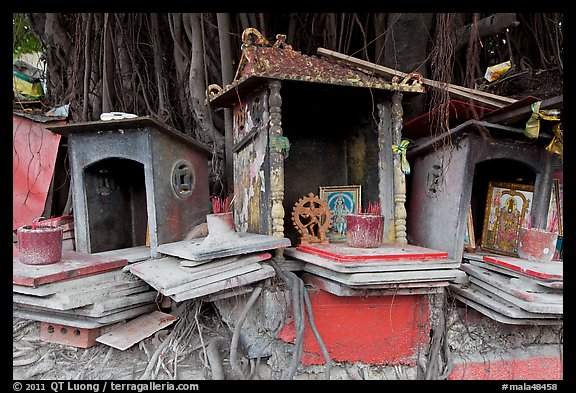 Spirit houses and banyan tree. George Town, Penang, Malaysia