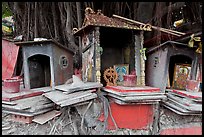 Spirit houses and banyan tree. George Town, Penang, Malaysia ( color)