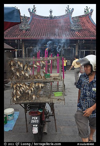 Motorcycle loaded with cage of birds (to be freed) in front of temple. George Town, Penang, Malaysia (color)