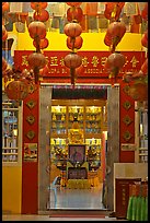 Penang Gelugpa Buddhist Association temple. George Town, Penang, Malaysia (color)