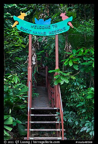 Gate, Bukit Nanas Reserve. Kuala Lumpur, Malaysia (color)