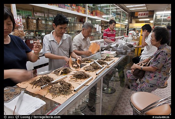 Store selling traditional Chinese medicine herbs. Kuala Lumpur, Malaysia (color)