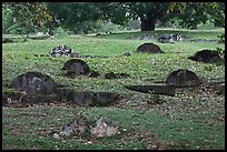 Tombs and trees, Bukit China cemetery. Malacca City, Malaysia (color)