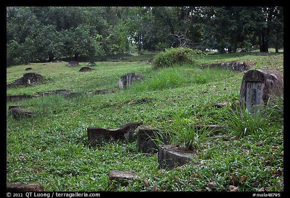 Chinese tombstones, Bukit China cemetery. Malacca City, Malaysia