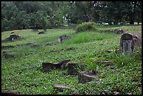 Chinese tombstones, Bukit China cemetery. Malacca City, Malaysia