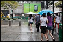 Women walking under unbrella during downpour. Singapore