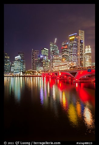 Bridge and city skyline at night. Singapore