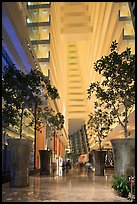 Potted trees inside Marina Bay Sands hotel. Singapore ( color)