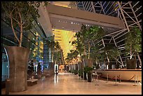 Potted trees, Marina Bay Sands hotel lobby. Singapore