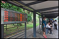 Bus stop with displays with expected wait time. Singapore