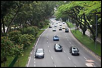 Expressway bordered by trees. Singapore ( color)