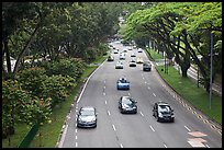 Expressway bordered by trees. Singapore