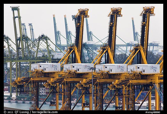 Cranes. Singapore (color)