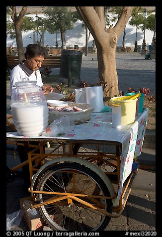 Food vendor with a wheeled food stand. Guadalajara, Jalisco, Mexico