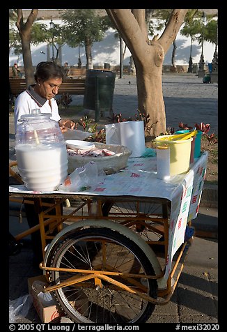 Food vendor with a wheeled food stand. Guadalajara, Jalisco, Mexico (color)